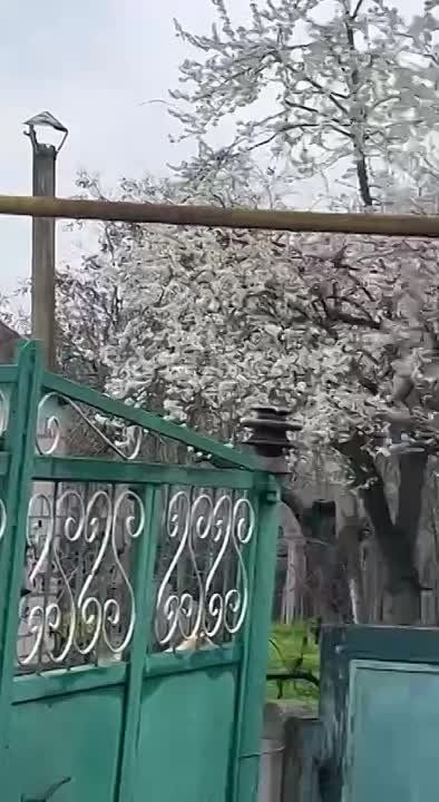 ��������� ���������: ��������� ������ � ������ �� ���������� �������