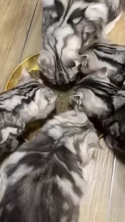 ������� �� ���� � �������, ��� ������� ��� ���� � ����