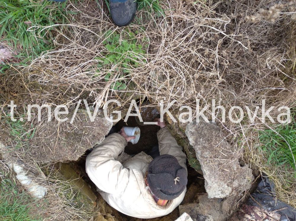 ����������������� ������������ ����������� �����������: