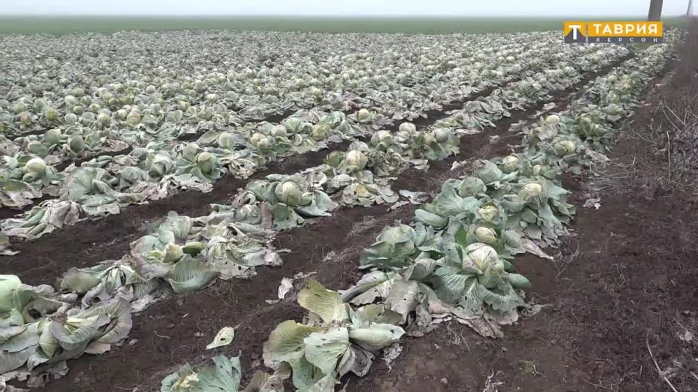 ���������� ������� �������� ���������� ������ �����