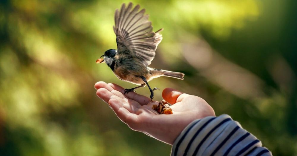 � ��������� ������ ������������� ��� ��� �����