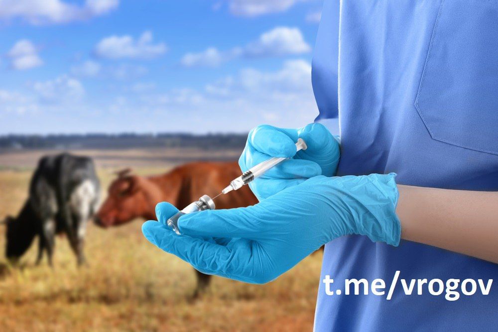 �������� �����: ���������� - ������������ ������������!