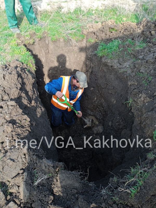 ����������� ������������ ����������� �����������: