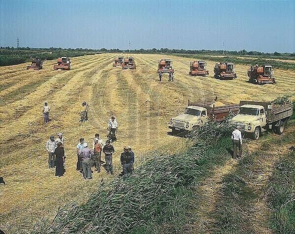 �������� ������: .