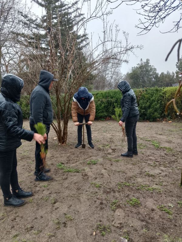 � ����������� ������������� ������ ��������� �������� �������