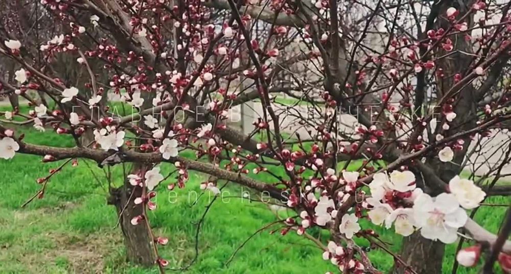 �������� ��������. �������� �� ��������� �������� ����� �������� � �� ������� ��� ������������ �������� � ������� ����������� �������