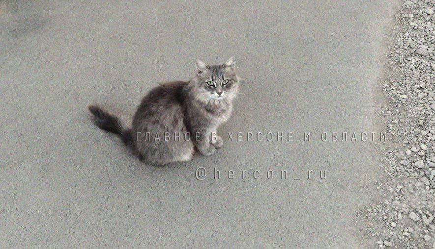 ����� ������� ��������� ���������� ������������ ����������