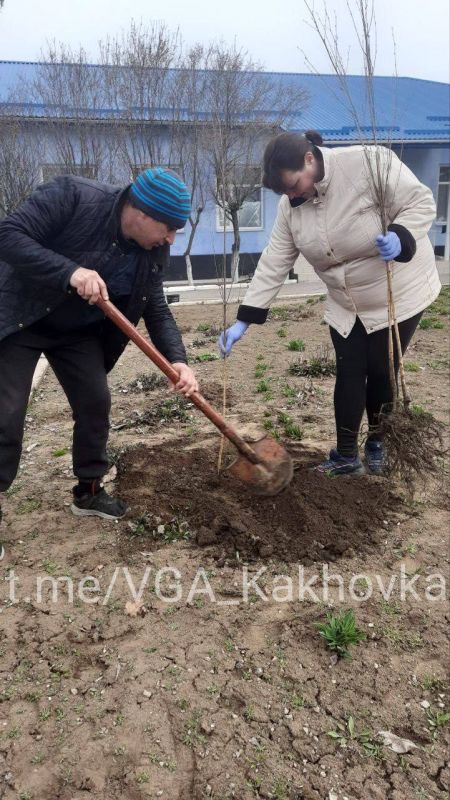 � ������������ �� �������� ������� ����