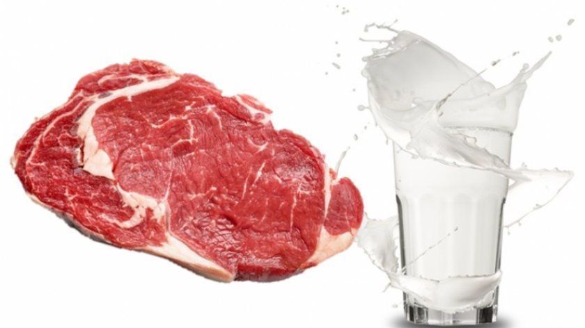 ������������� ��������������� ������������ ������ ���������� ����, ������������ ������ �� ���������� ������������ ������������ � �������� ������ ����������� �������������� ��������� �� ���������� � ����������� ��������