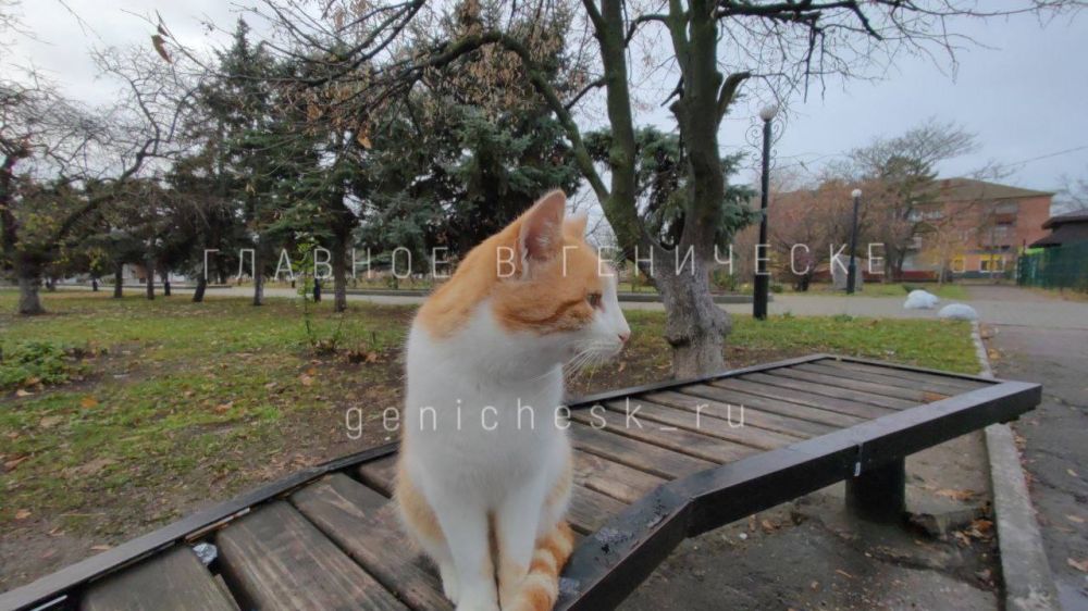 � ����� ������� ��������� ����� 180 ����� ��� ������ ��� ��������