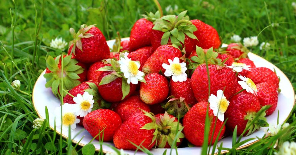 � 2023 ���� �������� ������� ���������� �������� ���������� �������