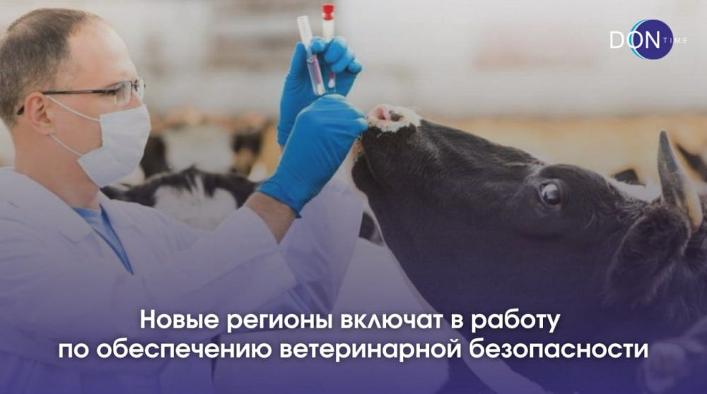 ����� ������� ������� � ������ �� ����������� ������������ ������������