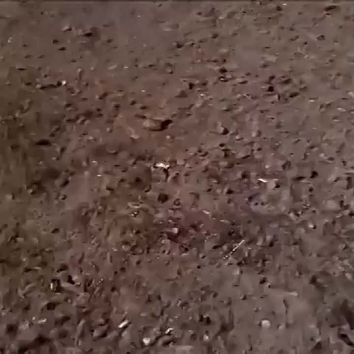 ��������� �������: "� ����, ��� �����������, ������ ����.