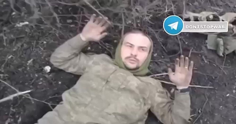 ������� 25 ������� ���..