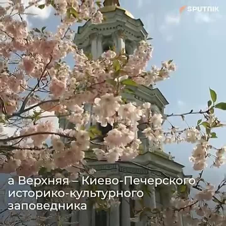 ������������ ��� ����� � ��������� ������������ ��� � ������������� ������ ������� �� ����������� �����-��������� �����