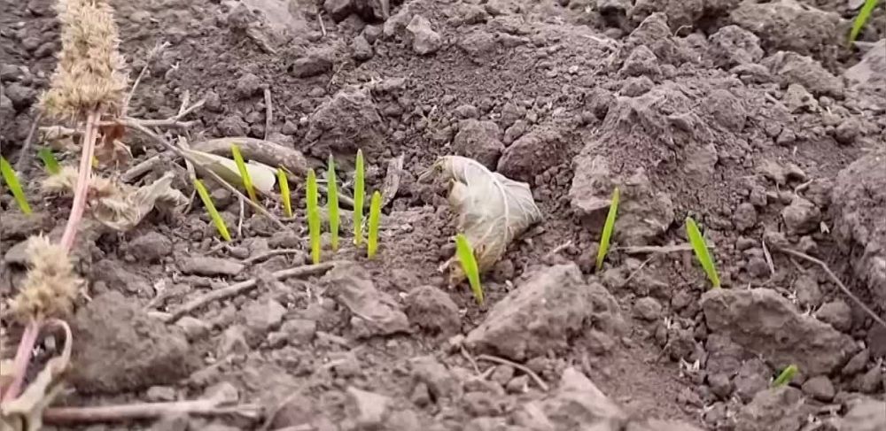 � ������������� � ���������� �������� ���������� ���������������� �������������� ������ ������ ��������� � ���������