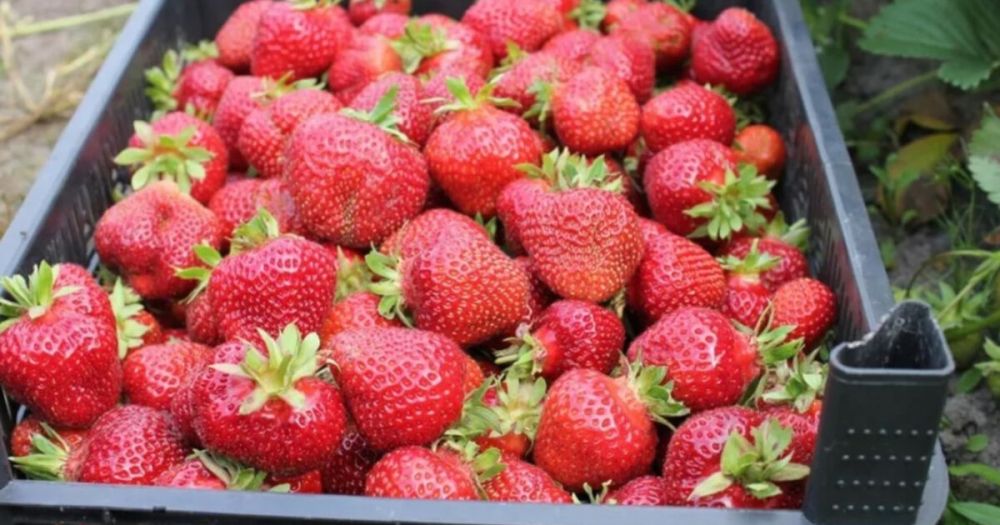 ���������� ������� �������� 500 ���� �������� � ������ ������� ������