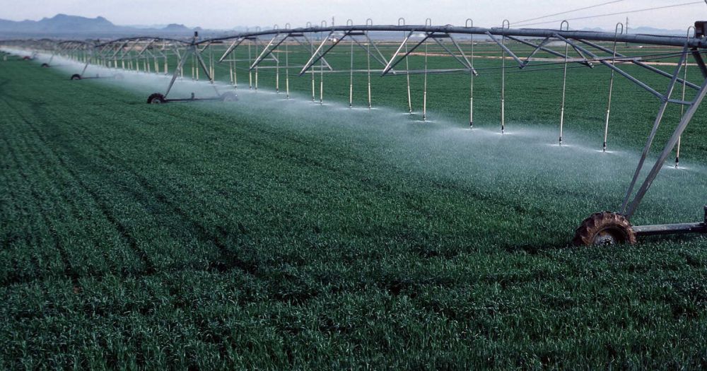 Hersonka ��������� ���������� ��� ������� ����������� ��