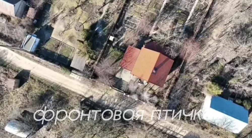 ����� ��� VS �-1. ���������� �����������