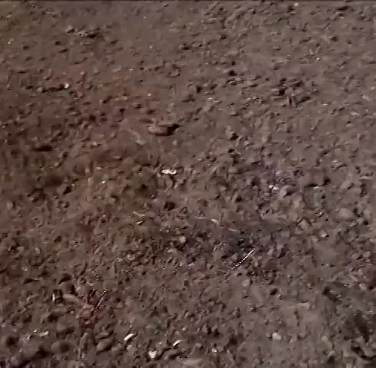 ���������� ������� ������ ������ ����������� ��� 126-� ������� ��������������� ������� � ������ �.�. �������� ���������� �������