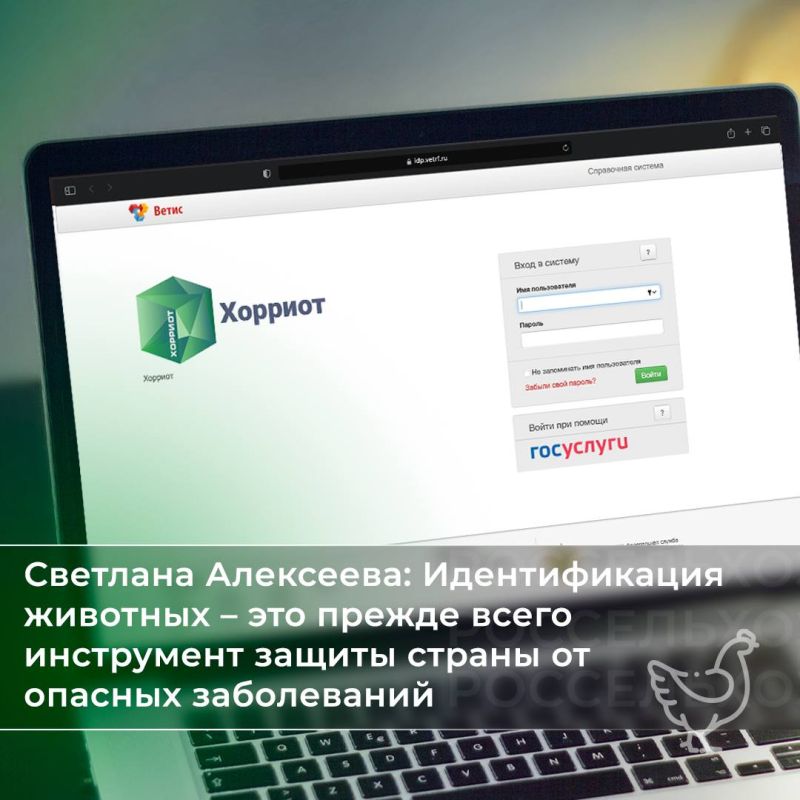 ����� � ������� ������ � ��������������� �����������, �������� ���������� ������, ������������ ������������ ����� �, �������, �������� �������� ������������� ��������