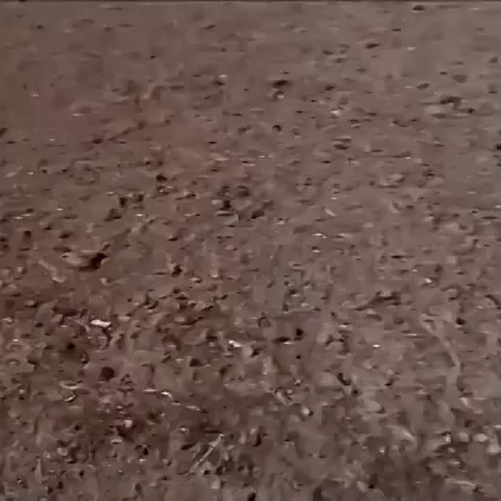 "� ����, ��� �������� �����, ���������� ���.