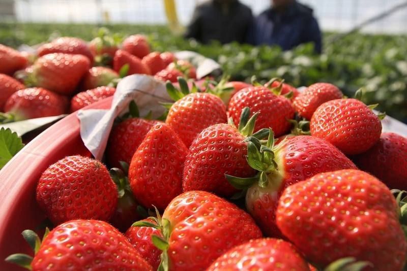 ���� �� �������� � ���������� ������� � ���� ���� �������� ��������