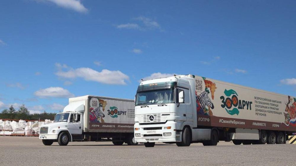 ��� � ���������. �������, 31 �����