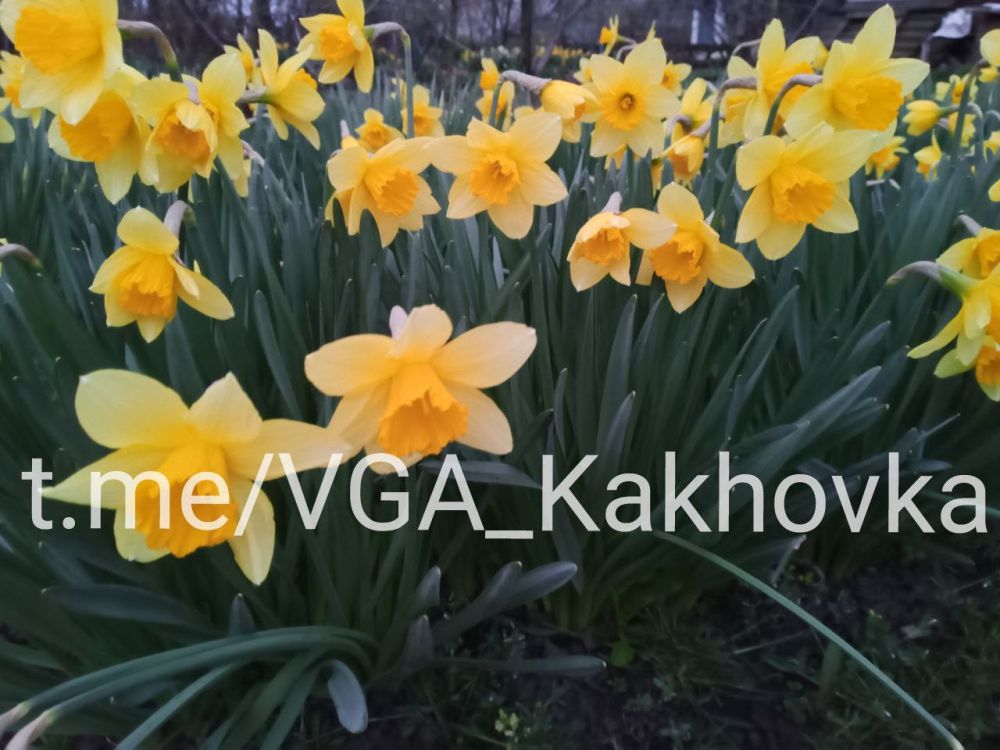 ������� ������ �������� ����� � ����������������� �������������