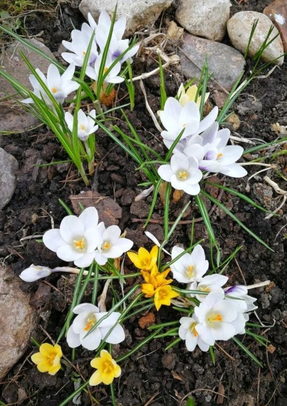 ������, �� ���������� �� "��볺�� ����" ������ ����� ����, � ����������, ������, ��� � ���������� ���� �������� ��������, ��������� �������� ���������� �����