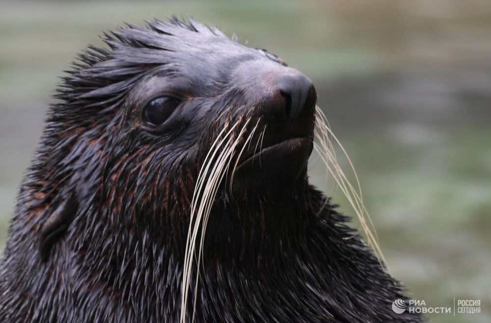 � ���� �� �������� ������ ������� ����� �������� ����� ������� �������