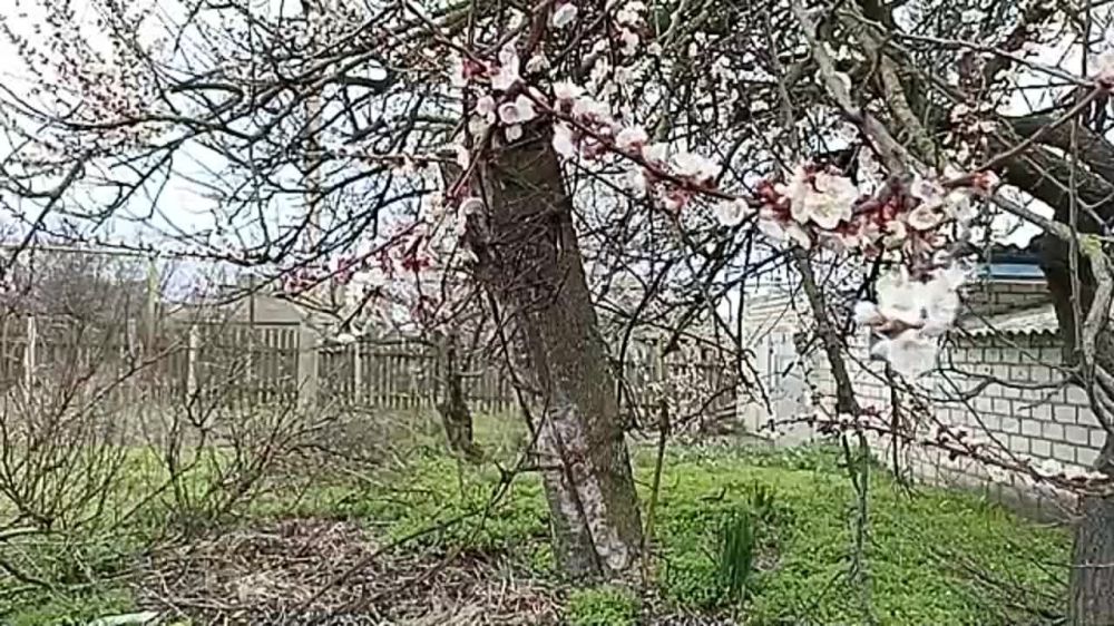 ������ ��������� �����, ���������� � �������������� ������� ������� ���� �����, ������ �� ����, ����� � ���� �������� ��������, �� �� ������������ � ����������� ������