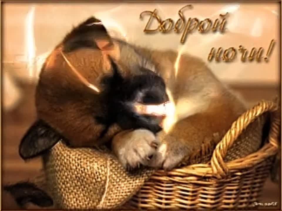 ������ ����!. � ������� ���� ���� ����� �������� ������. ������� ����� ����� ���� ���� ����. ����������� �� +8 ����� �� +10 ����