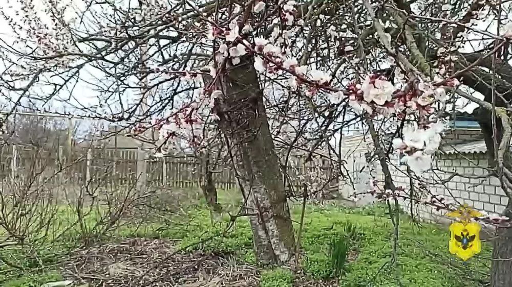 ���������� ���������� ������� ������������� �����������, �������, ������ �����, ����������� ��������������� ���������� ������, �������� � ������