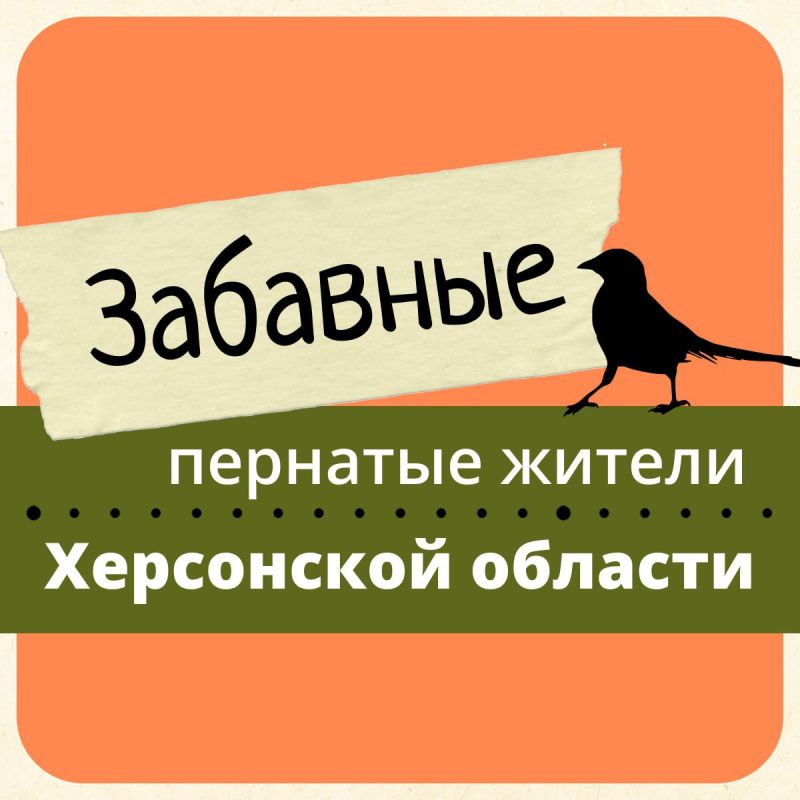 ������� �� �������� �������� ��������