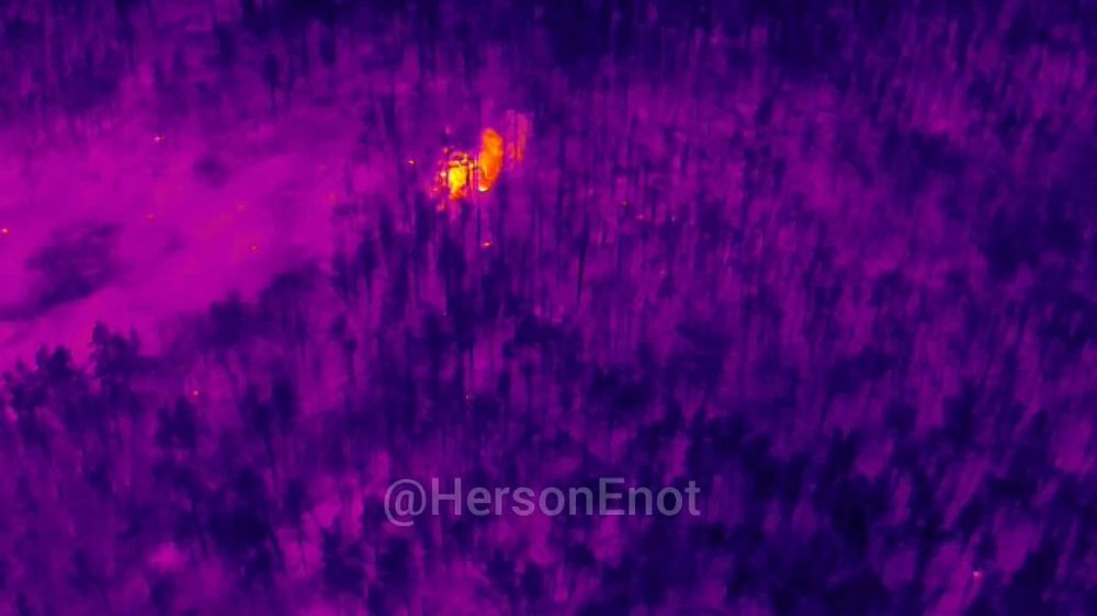 ���� �� �������: ���������� ������������� ������� ��� ���, �� �������� ��� �����