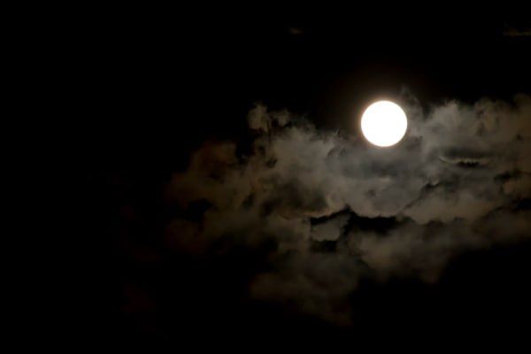 Владлену Татарскому посвящается