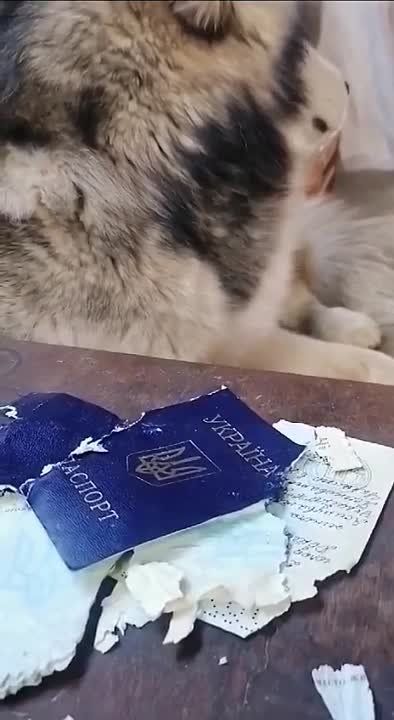 ���� ������ ��������, ��� ����� ������ � ���������� ���������