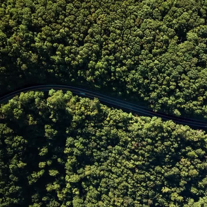 ������ ����������: � ��� ���������� ������� ����������� �������, �������� � �������? ��� ��������� ����� ������� ����������� ��� ����?