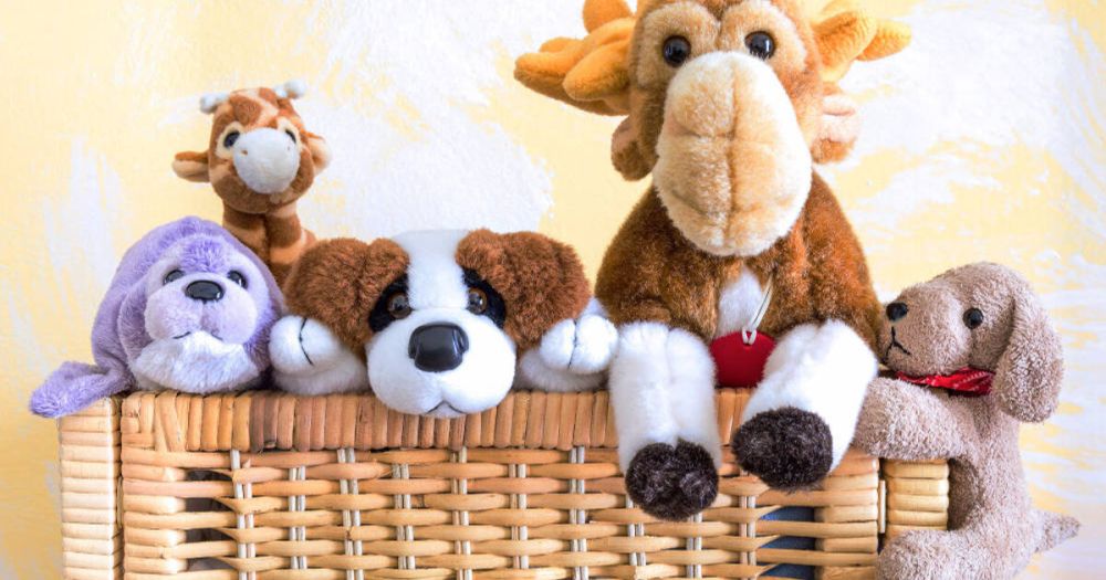 ����������� ����� �� ���� ������������ �������� ������������ ������