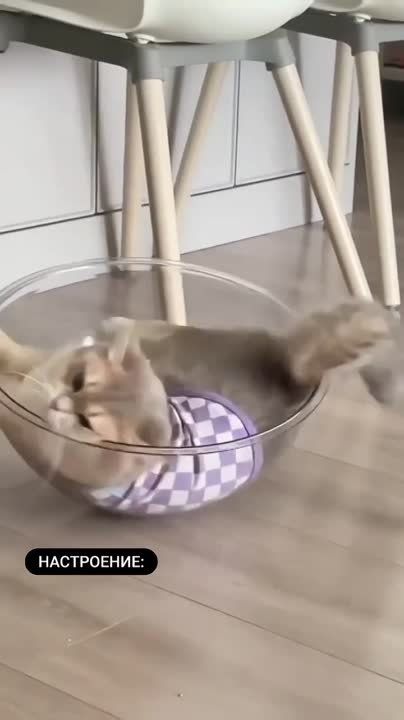 �����������... ����� ������� ������������, ����� ������� �� ������� � ����� ������. ��� ����� ������� ������... � ����� �� ��������� ������� , � ��� �����, �����..