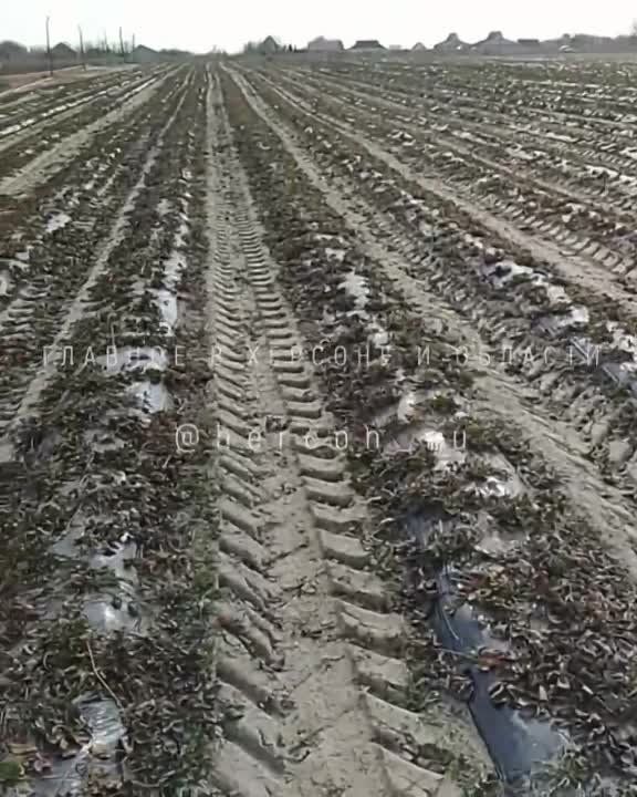 ������ ����� �������� ���������� �������� ����������� �� ����