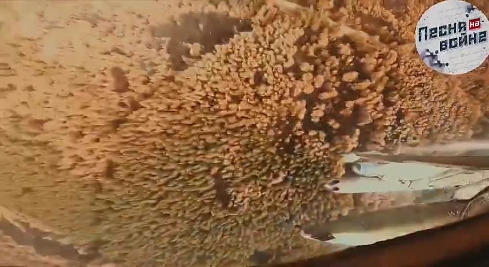 � ������� ������ �� ����� ����������� ������� � ����� ������� �������