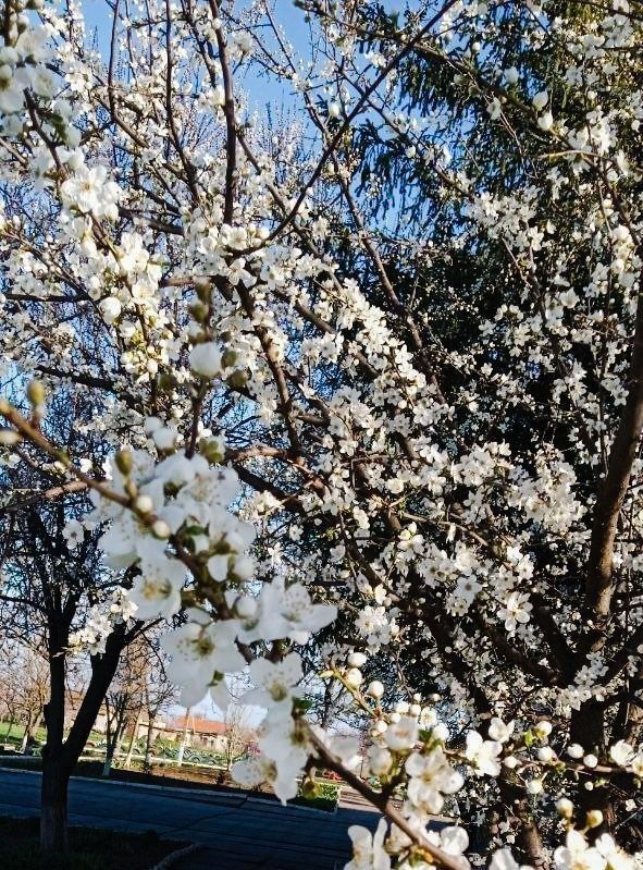 � ���������� ������� ������� ��������� �����