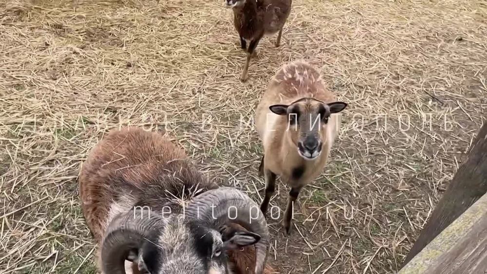 � ����������, �������� �� ������� ����������, ���������� �������� ������� � ���������� �����