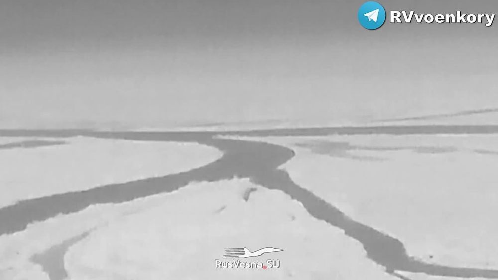 ��������� ������: ��� ������ ������� ����� �� ����� � �������