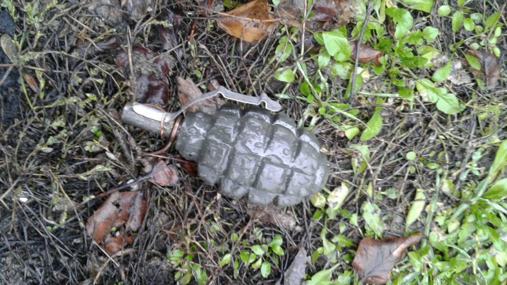 ��� ���� ������ � ������������ ����������� ���������� � ���������� ��