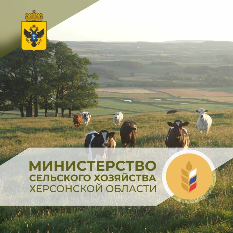 ����������� 50% �� ������������ ��� ���������� �������� ��������� ��� ��������!