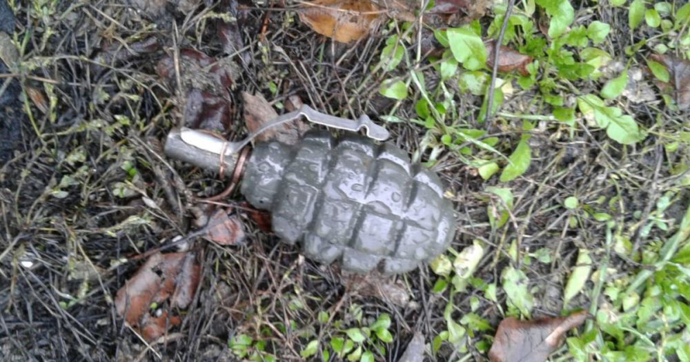 � ���������� ������� ����������� ���������� ������ � ������������