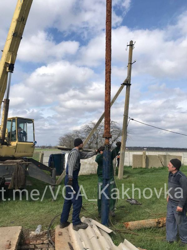 ������������� ������������ ����������� �����������